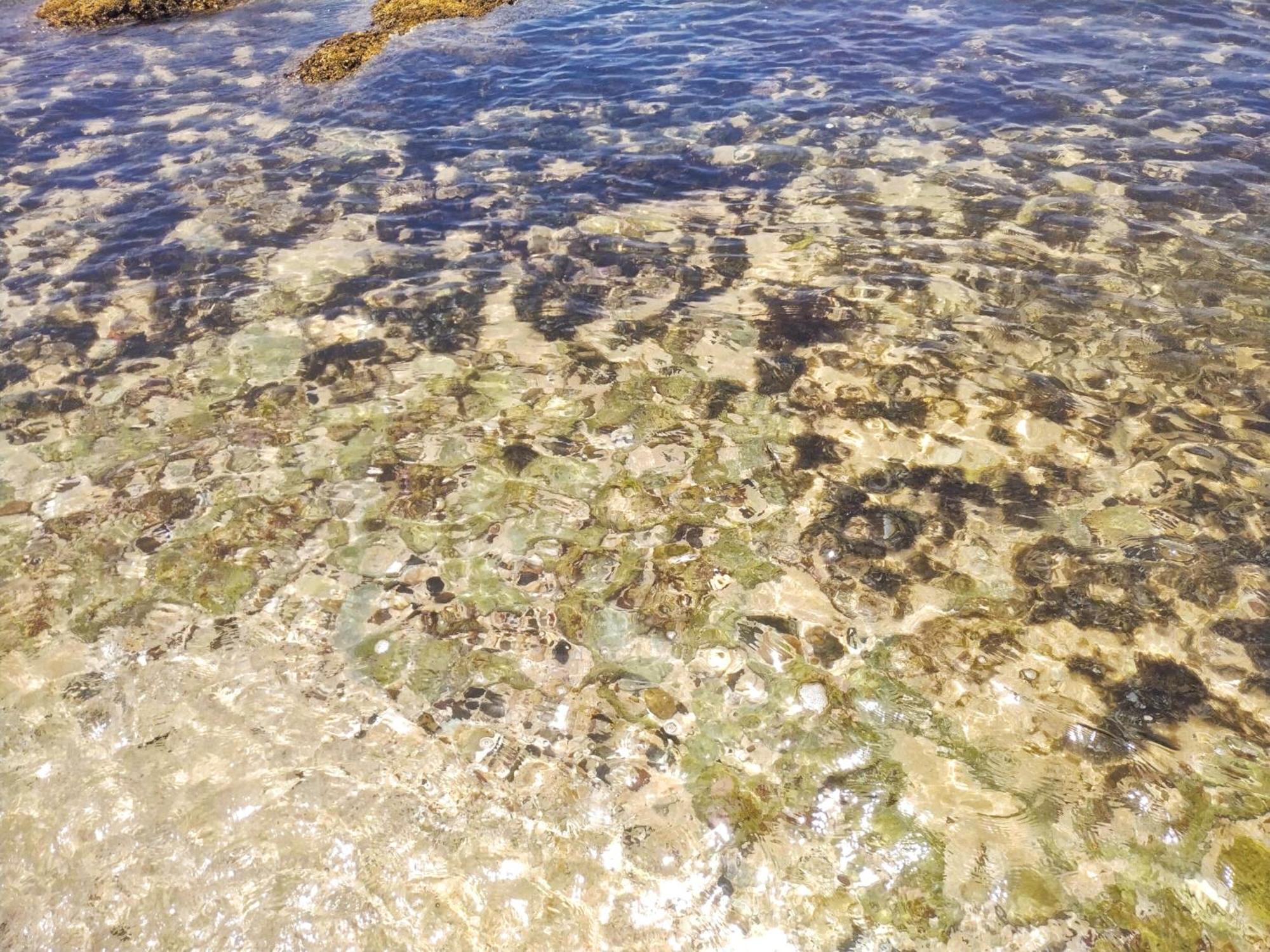 Dalawella Beach Resort Унаватуна Екстер'єр фото