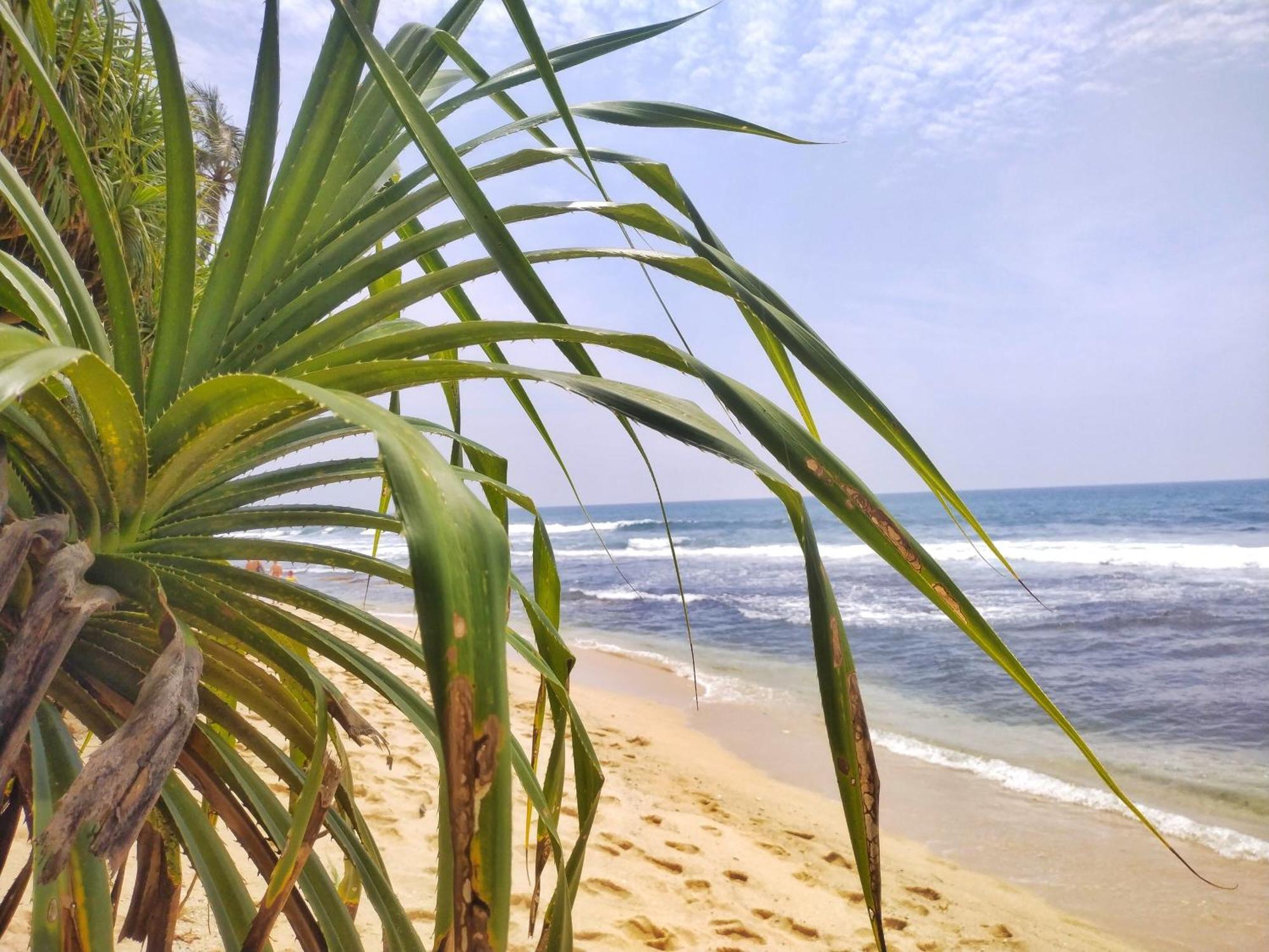 Dalawella Beach Resort Унаватуна Екстер'єр фото