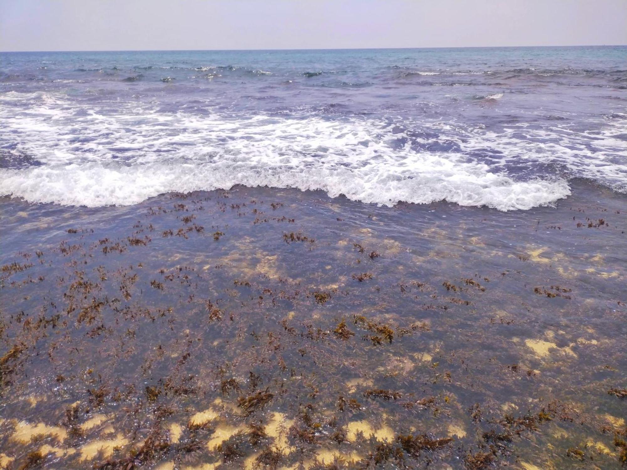 Dalawella Beach Resort Унаватуна Екстер'єр фото