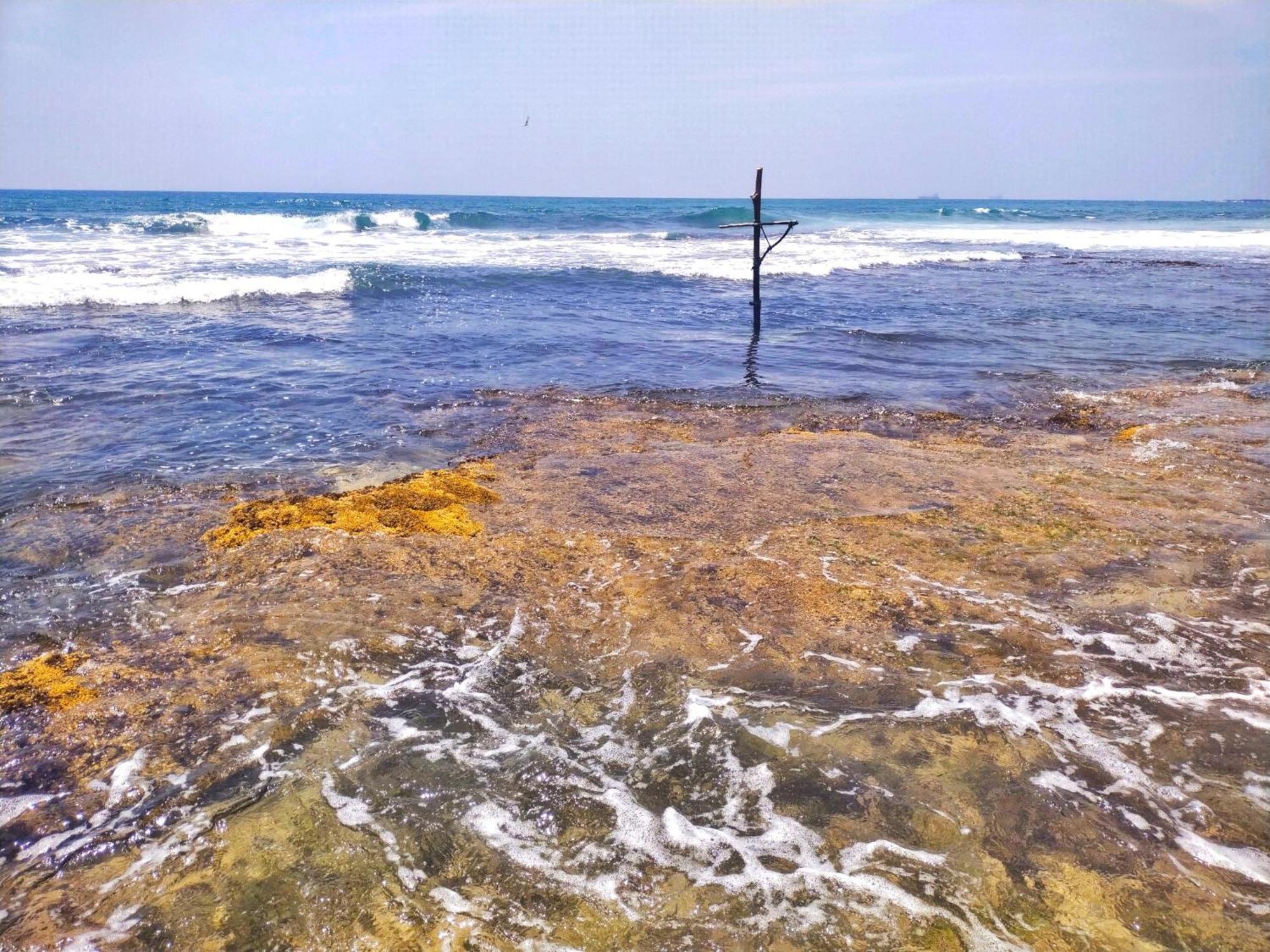 Dalawella Beach Resort Унаватуна Екстер'єр фото
