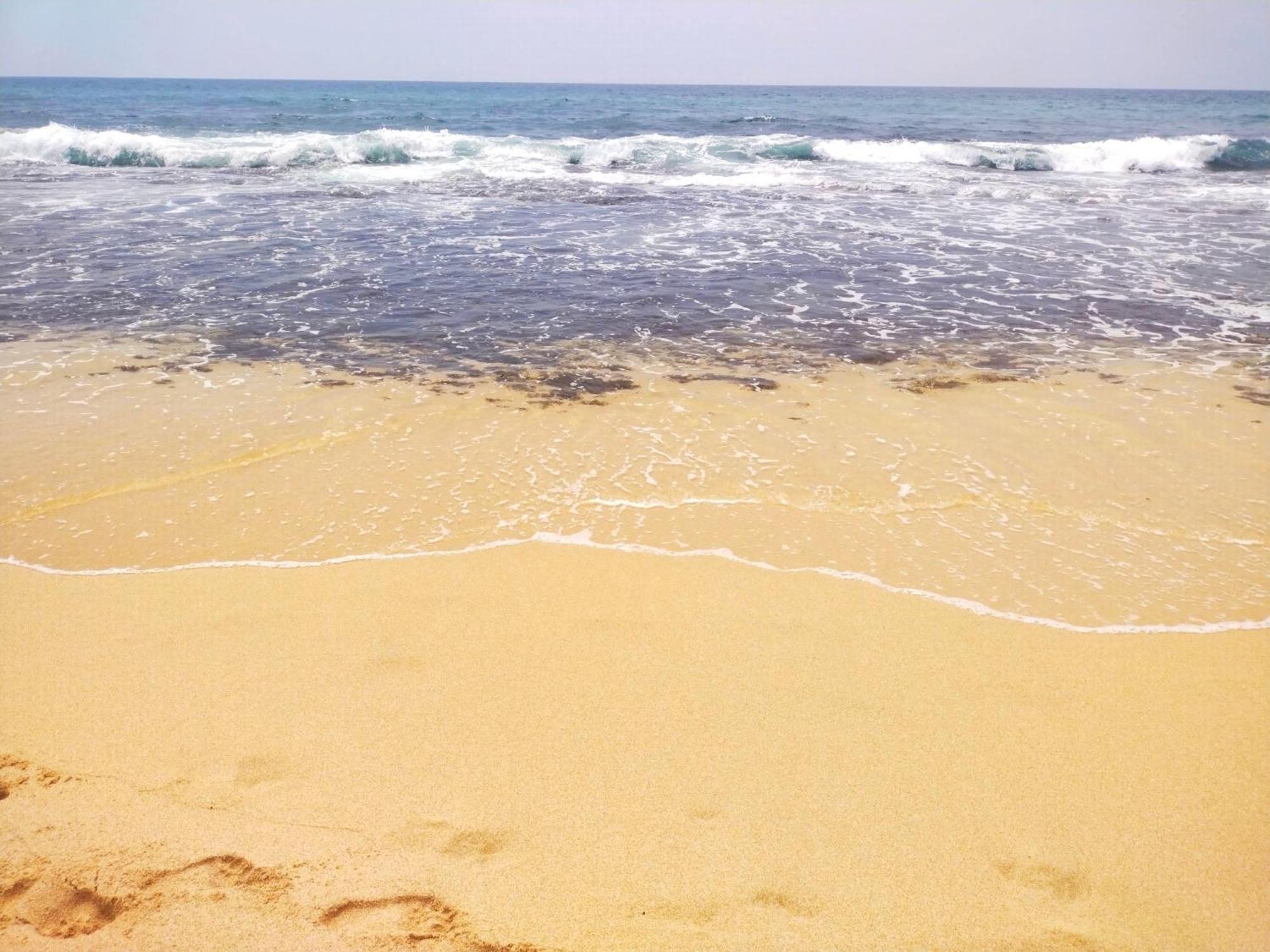 Dalawella Beach Resort Унаватуна Екстер'єр фото